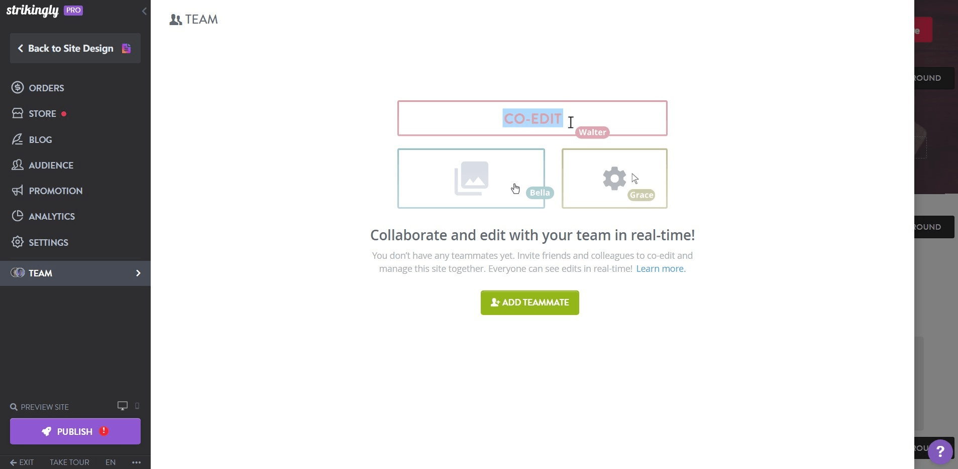 Strikingly 網站團隊管理 Strikingly 網站團隊管理